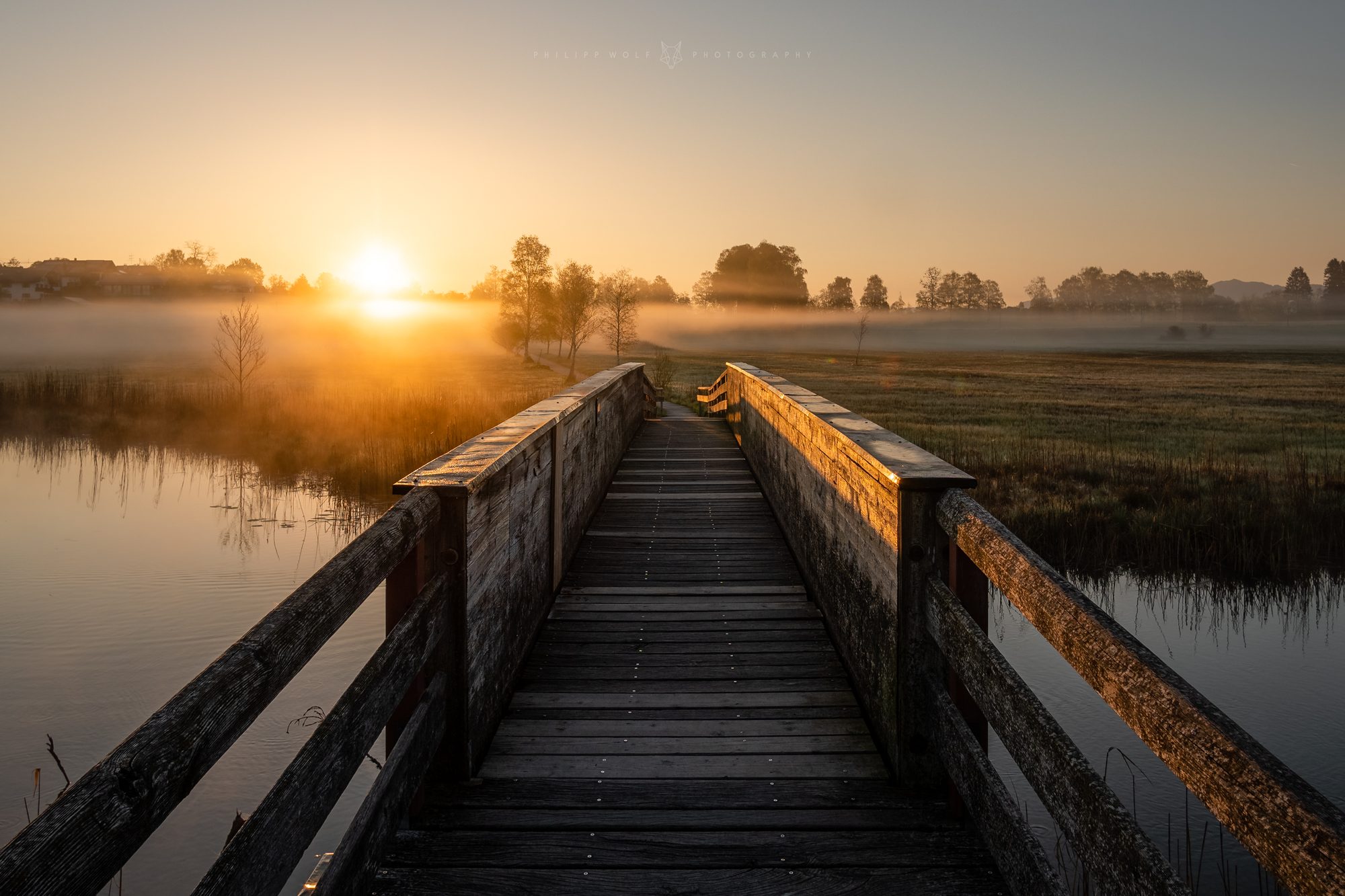 Holzsteg über ein Feuchtgebiet im Morgenlicht